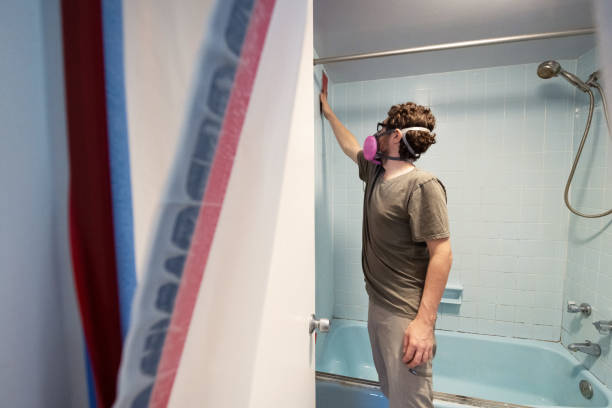 Best Attic Mold Removal  in Lincolnton, GA
