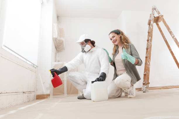 Best Industrial Mold Remediation  in Lincolnton, GA